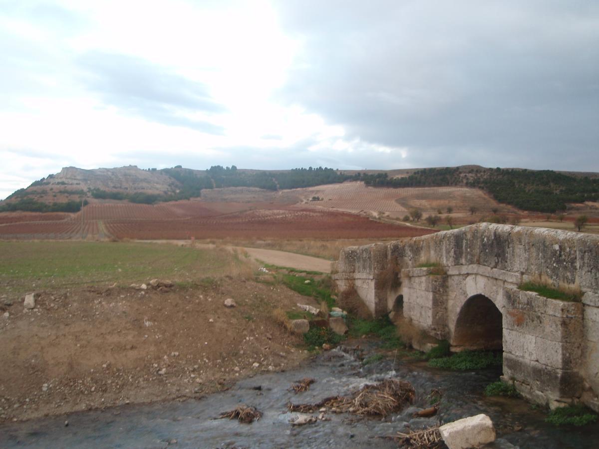 Alojamiento Rural Pueblo De La Ribera Penafiel Ngoại thất bức ảnh